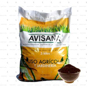 Avisana