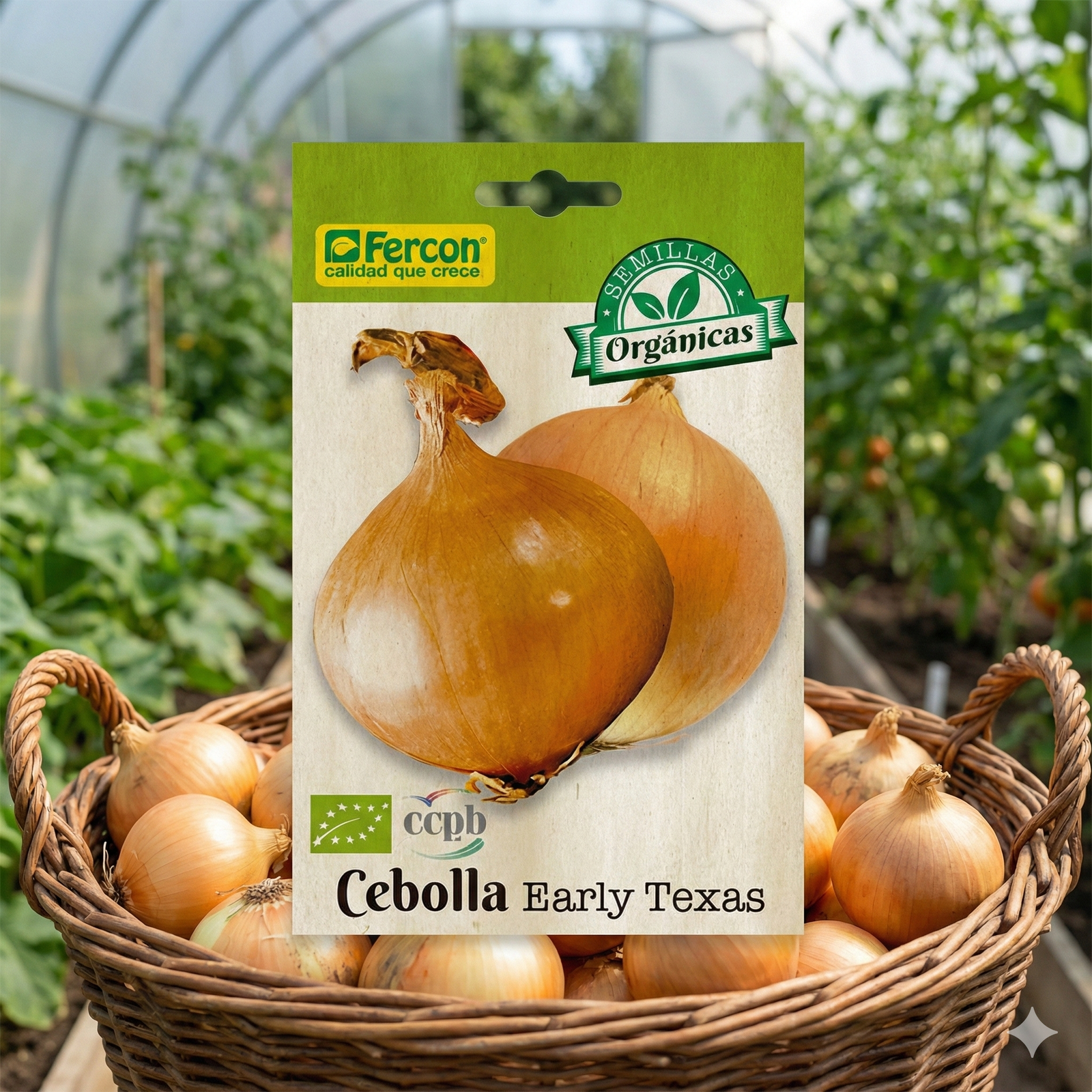 Semillas Hortalizas Cebolla Early Texas - Imagen 6