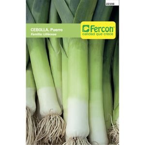 SEMILLAS HORTALIZAS DE CEBOLLA PUERRO
