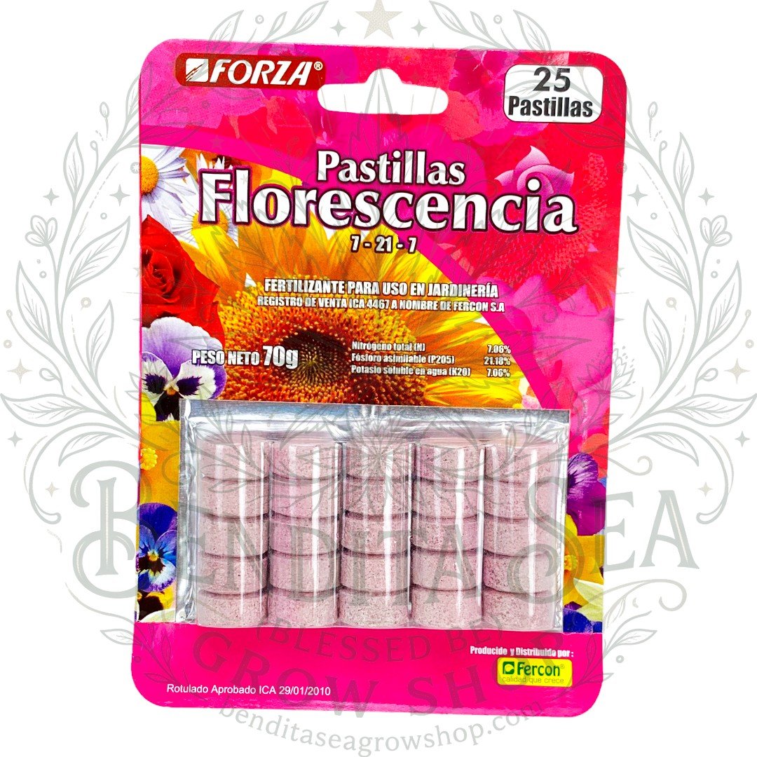 Pastillas de Florescencia x25 Forza con marca de agua