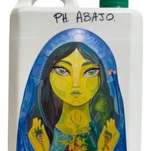 Regulador De Ph Down Abajo Liquido 1 Litro