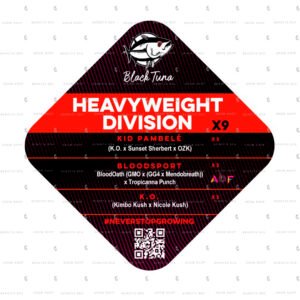 Semillas Feminizadas Heavyweight Division Black Tuna Seeds