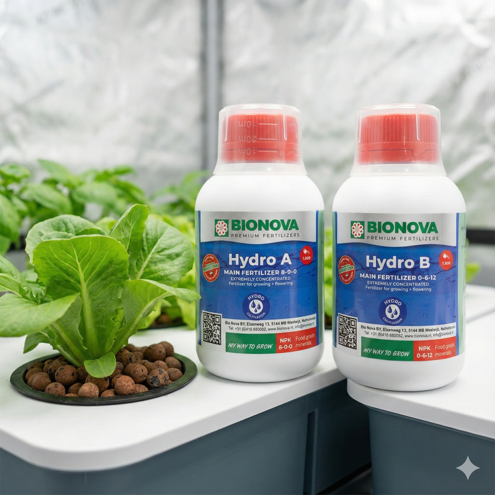 Cultivo hidropónico saludable usando nutrientes BioNova