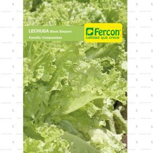 Semillas Hortalizas de Lechuga Black Simpson