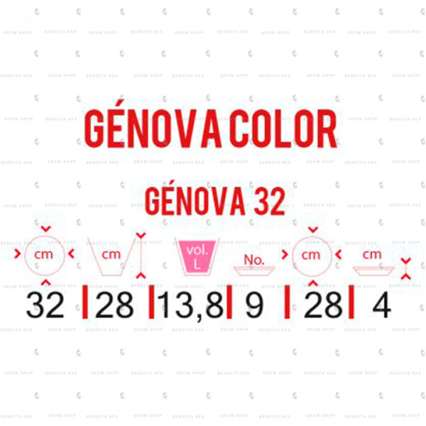Genova 32