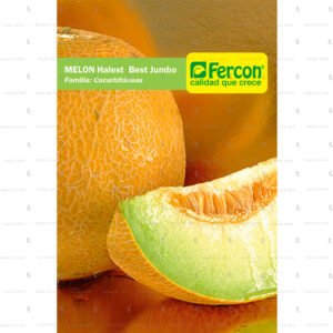Semillas de Melón Jumbo listas para sembrar.