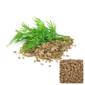ENELDO ANETHUM SEMILLAS AROMÁTICAS