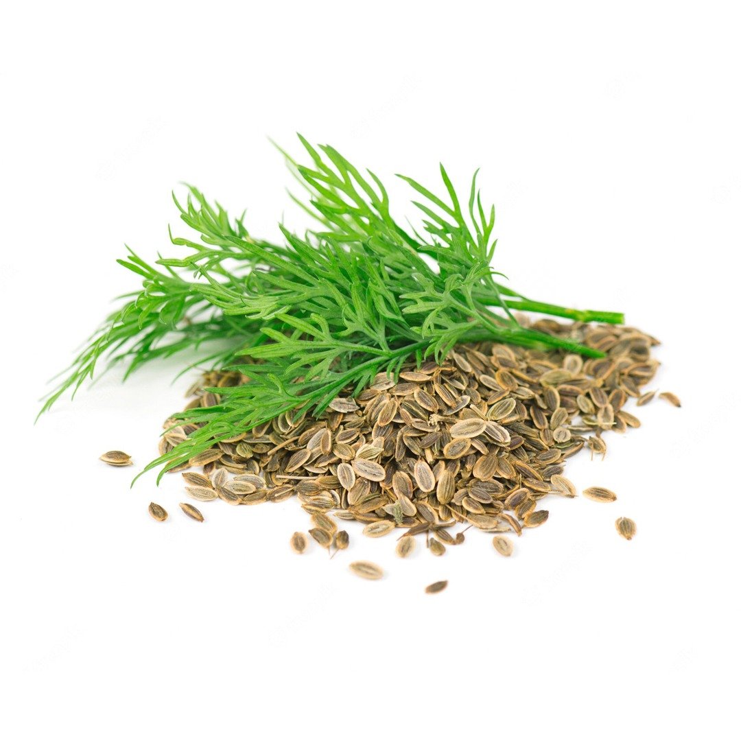 Semillas de de Eneldo Anethum Aromáticas Fercon para huerto en casa