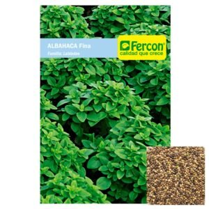 Semillas de ALBAHACA FINA OCYMUN BASILICUM SEMILLAS AROMÁTICAS Fercon para huerto en casa