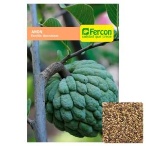 Semillas de ANÓN ANONACEAS SEMILLAS FRUTALES Fercon para huerto en casa