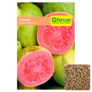 Semillas de GUAYABA SEMILLAS FRUTALES Fercon para huerto en casa