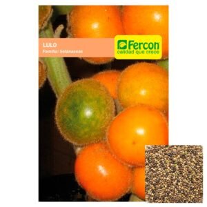 Semillas de LULO SEMILLAS FRUTALES Fercon para huerto en casa
