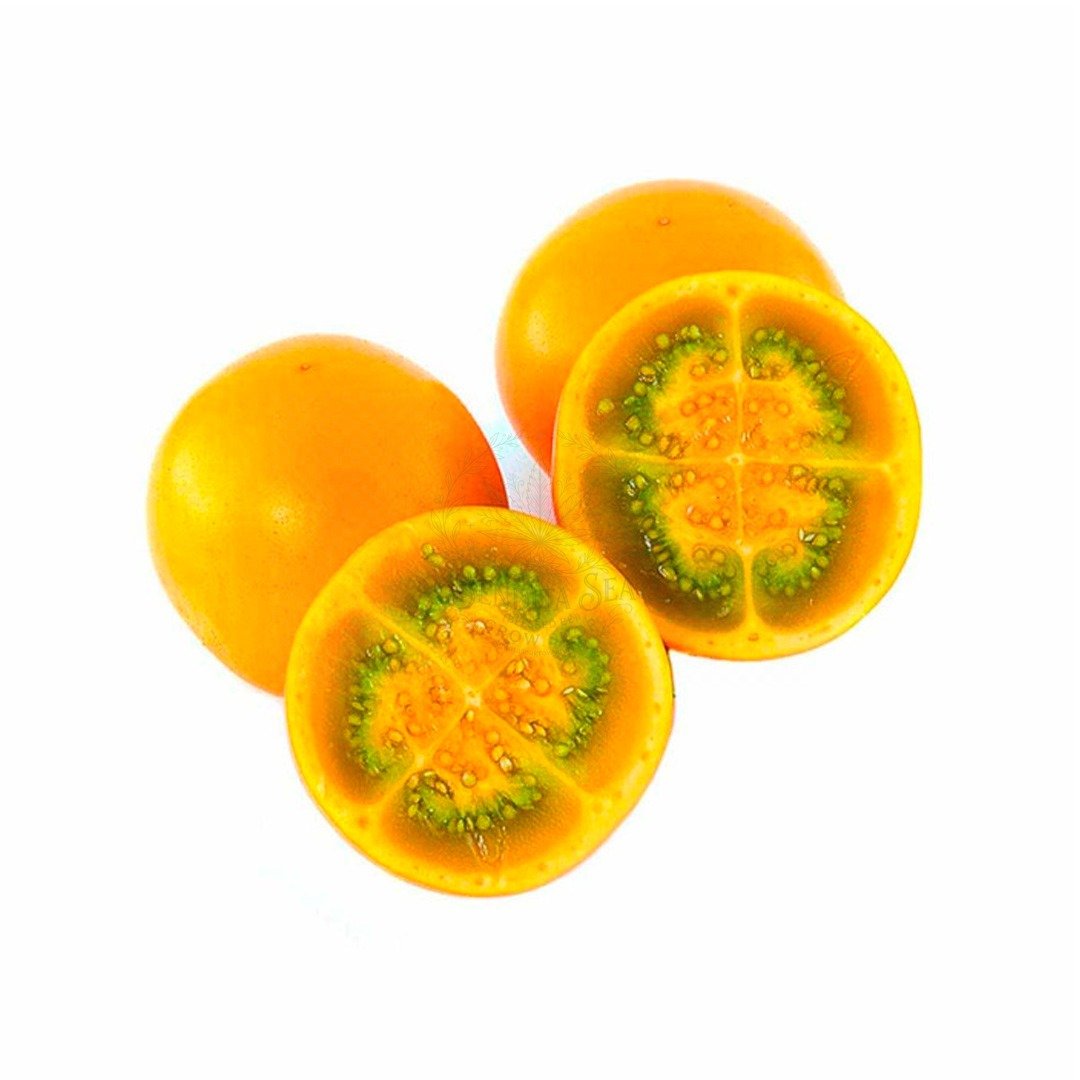 Semillas de de Lulo Frutales Fercon para huerto en casa