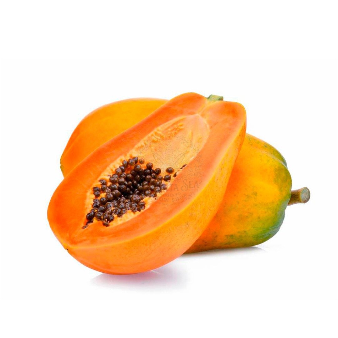 Semillas de de Papaya Frutales Fercon para huerto en casa