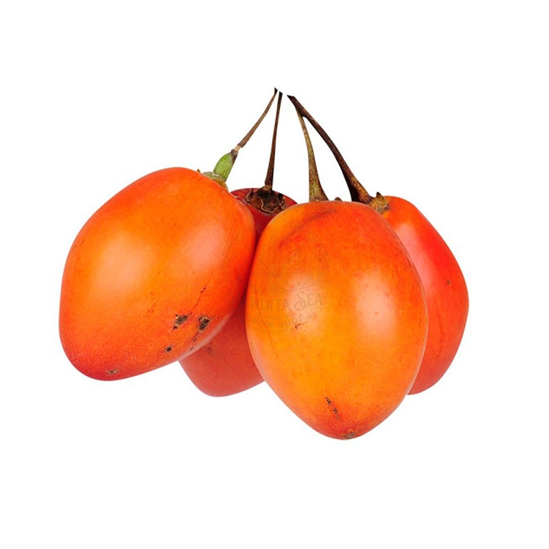Semillas de de Tomate De Arbol Amarillo Frutales Fercon para huerto en casa