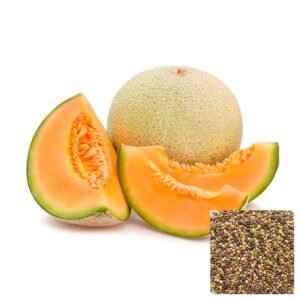 Semillas de MELÓN HALEST SEMILLAS FRUTALES Fercon para huerto en casa