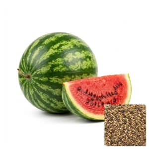 Semillas de SANDIA CRIMSON SWEET SEMILLAS FRUTALES Fercon para huerto en casa