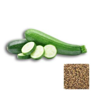 Semillas de CALABACIN GREY ZUCCHINI SEMILLAS HORTALIZAS Fercon para huerto en casa