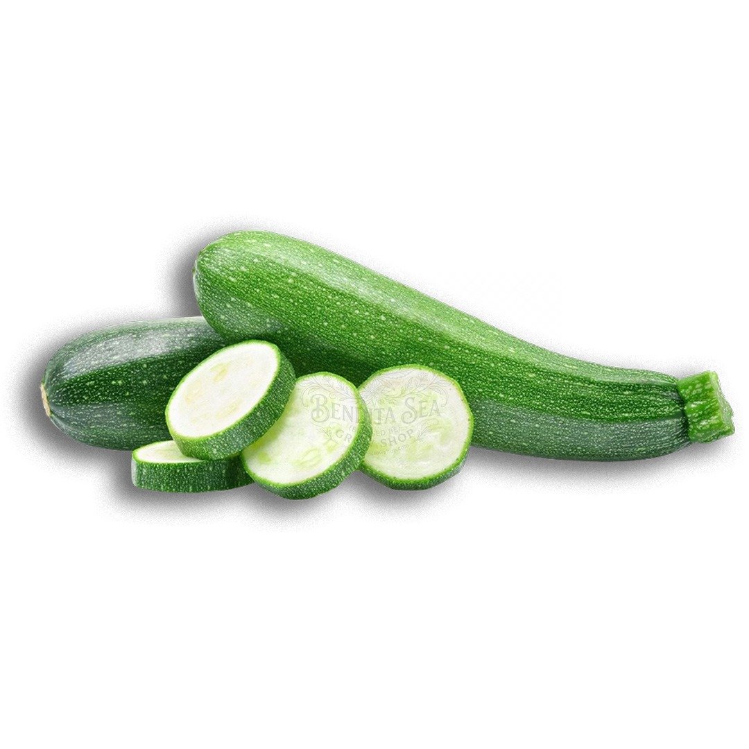 Semillas de de Calabacin Grey Zucchini Hortalizas Fercon para huerto en casa