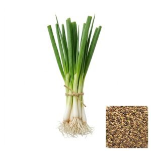 Semillas de CEBOLLA TOKIO LONG SEMILLAS HORTALIZAS Fercon para huerto en casa
