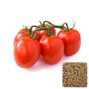 Semillas de TOMATE CHONTO SANTA CRUZ SEMILLAS HORTALIZAS Fercon para huerto en casa