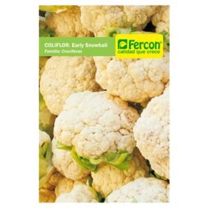 Semillas de COLIFLOR EARLY SEMILLAS HORTALIZAS Fercon para huerto en casa