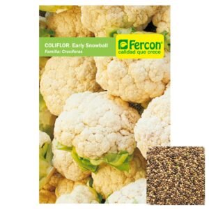 Semillas de COLIFLOR EARLY SEMILLAS HORTALIZAS Fercon para huerto en casa