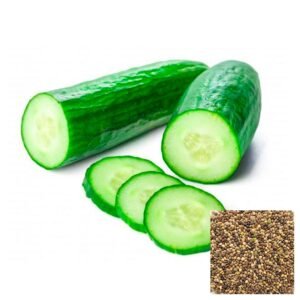 Semillas de PEPINO COHOMBRO SEMILLAS HORTALIZAS Fercon para huerto en casa