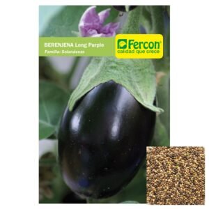 Semillas de BERENJENA LONG PURPLE SEMILLAS HORTALIZAS Fercon para huerto en casa