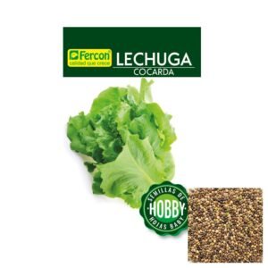 Semillas de LECHUGA COCARDA SEMILLAS HORTALIZAS Fercon para huerto en casa
