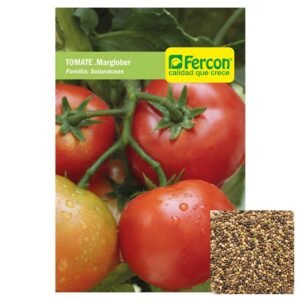 Semillas de TOMATE MARGLOBE SEMILLAS HORTALIZAS Fercon para huerto en casa