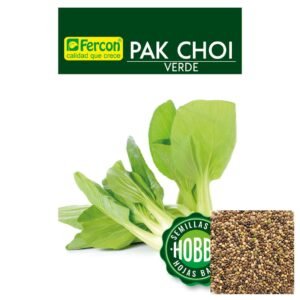 Semillas de PAK CHOI VERDE SEMILLAS Fercon para huerto en casa