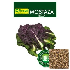 Semillas de MOSTAZA ROJA Fercon para huerto en casa