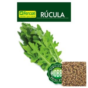 Semillas de RÚCULA Fercon para huerto en casa