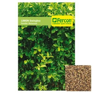 Semillas de LIMON SWINGLIA SEMILLAS HORTALIZAS Fercon para huerto en casa