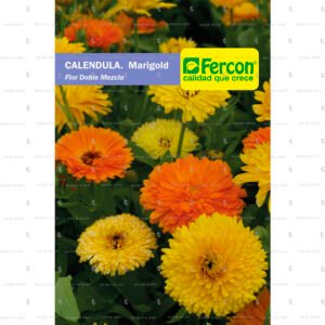 Calendula doble flor