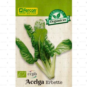 semillas de Acelga Erbette listo para sembrar.