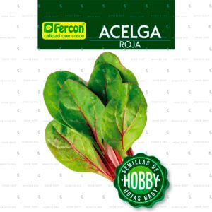 Acelga Roja