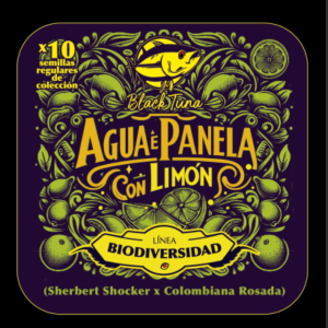 Semilla de marihuana Agua e panela con limón de Black Tuna - Foto 1