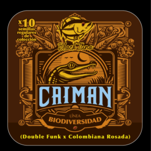 Semilla de marihuana Caiman de Black Tuna - Foto 1