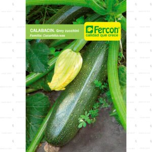 Semillas Hortalizas Calabacín Grey Zucchini