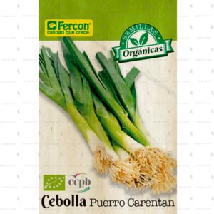 Cebolla Puerro Carentan