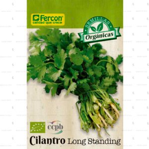 Paquete de semillas de cilantro Long Standing
