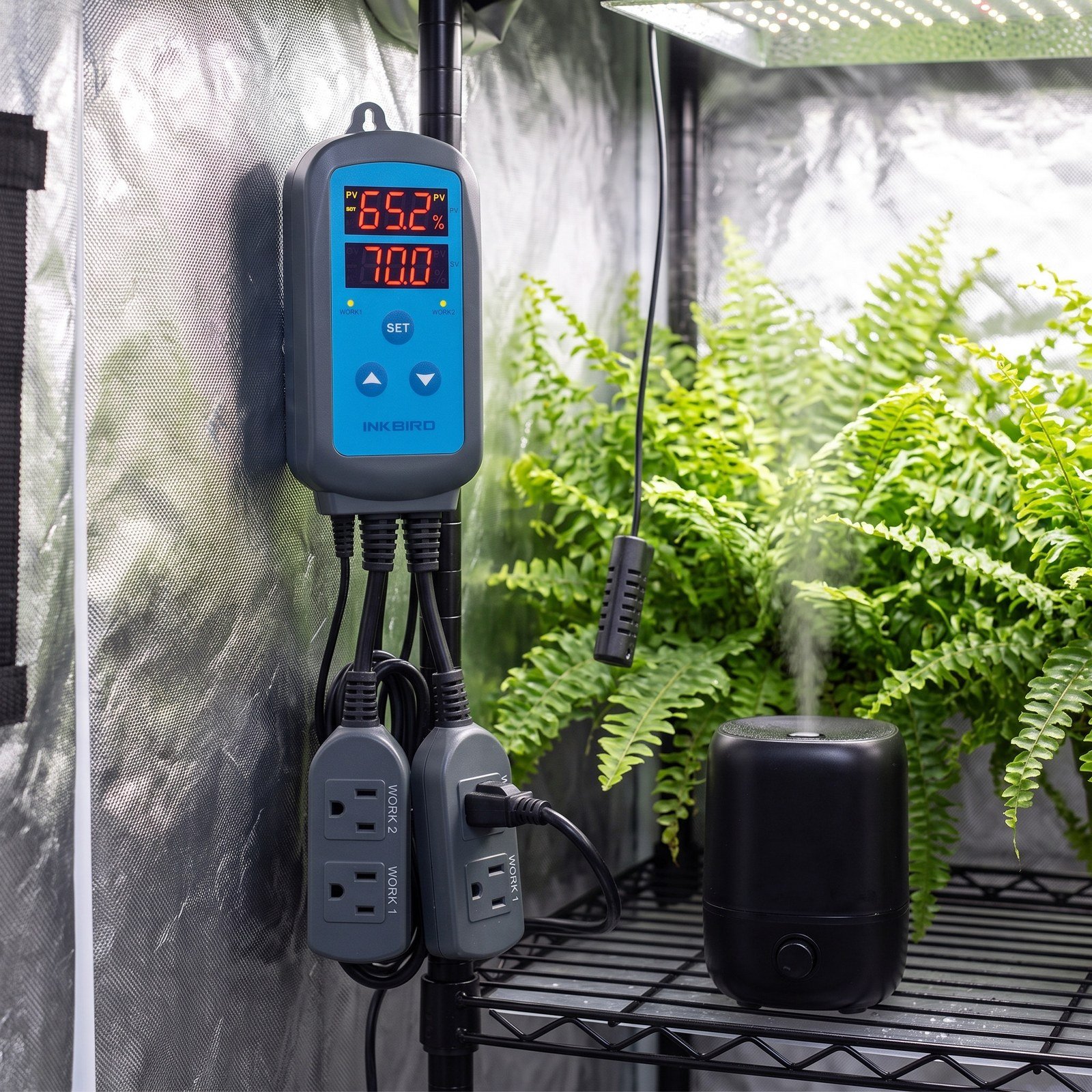 Controlador de humedad Inkbird colgado en un armario de cultivo con plantas