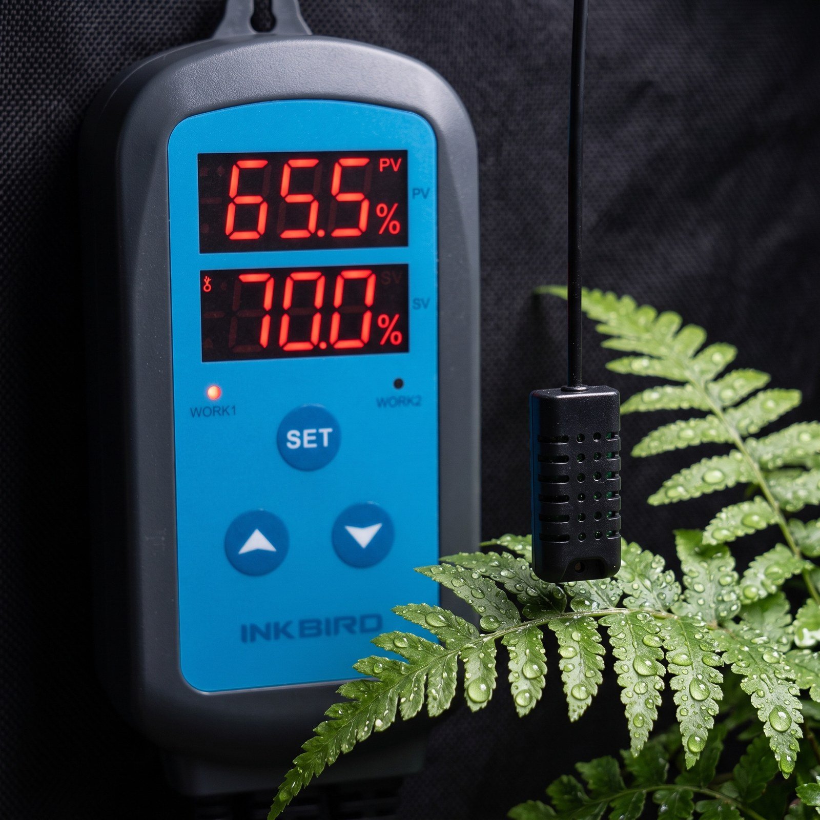Controlador de humedad Inkbird sobre una mesa de cultivo