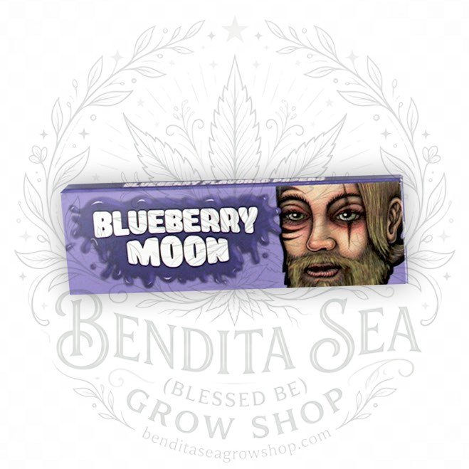 Cueros Papeles Lion Rolling Circus Blueberry #9 en su librillo, sobre fondo blanco