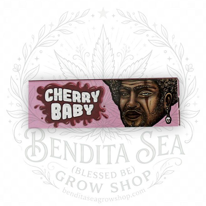 Cueros Papeles Lion Rolling Circus Cherry Baby #9 en su librillo, sobre fondo blanco