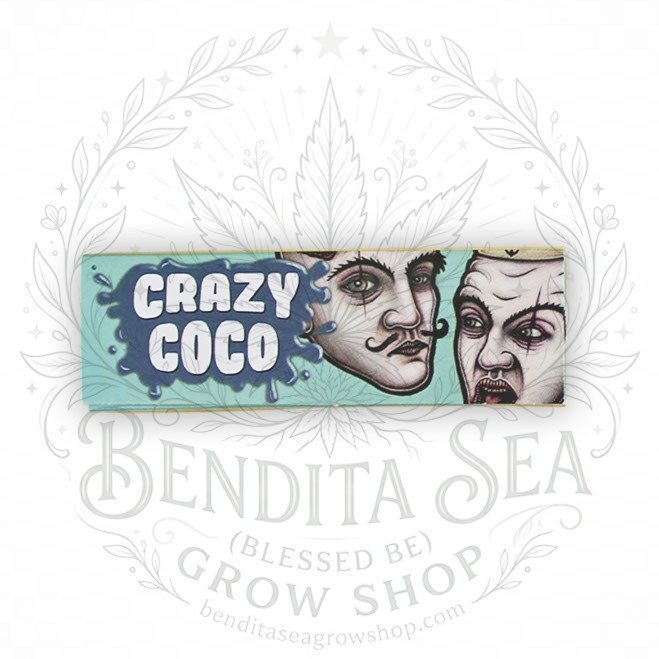 Cueros Papeles Lion Rolling Circus Crazy Coco #9 en su librillo, sobre fondo blanco