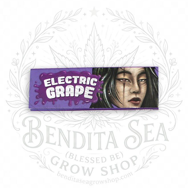 Cueros Papeles Lion Rolling Circus Electric Grape #9 en su librillo, sobre fondo blanco