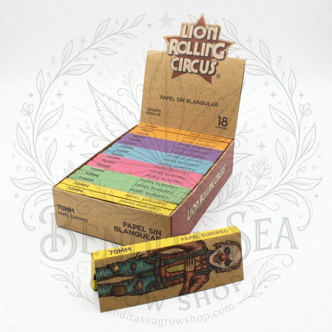 Cueros Papeles Lion Rolling Circus Unbleached #7: caja exhibidora y librillo, sobre fondo blanco